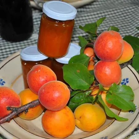 Casa rural Il Terrazzo Sul Sinni *