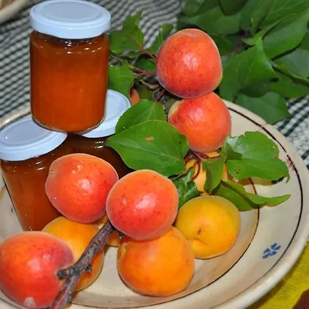 Il Terrazzo Sul Sinni * Rotondella