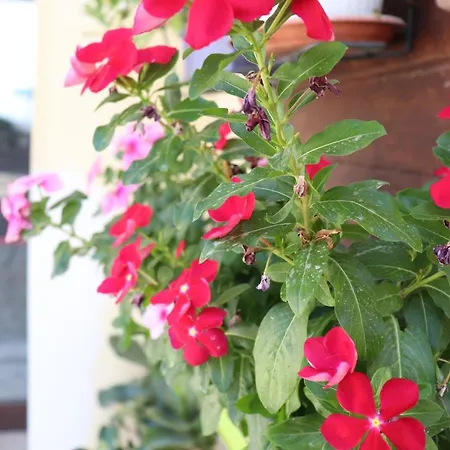 Landsted Il Terrazzo Sul Sinni